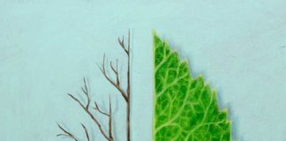 „Alphabet des Lebens – Lernwerkstatt Natur“ / Vorarlberg