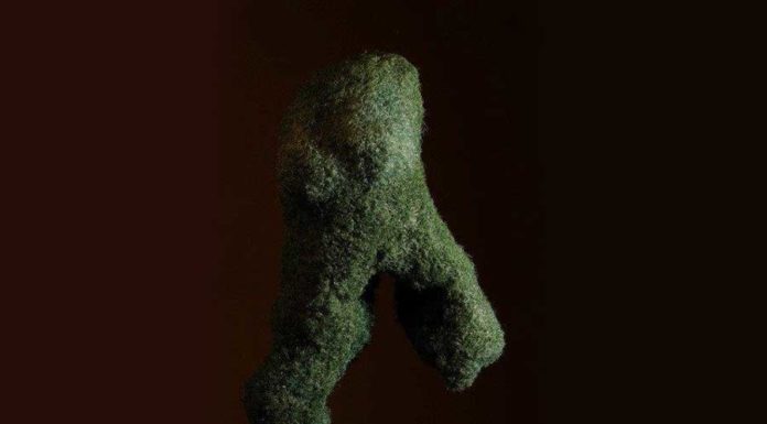 „Eva Ganot“ / Stadtgalerie Lehen