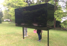 „blühen.kunst.alles“ / Botanischer Garten Linz