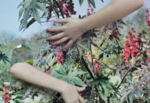 „Stadtoasen“ / NORDICO Linz