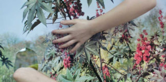 „Stadtoasen“ / NORDICO Linz