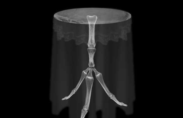 „be my guest – possible bodies“ / Stadtgalerie Lehen