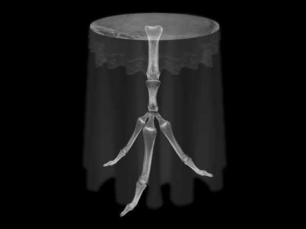 ©Laura Splan. X-Ray Visions & Morphine Dreams (Tablecloth), 2005. Lightbox with Duratrans Light Jet print mounted on acrylic. 24H x 24W inches