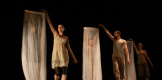 „Internationale Sommerakademie für Theater “ / Graz