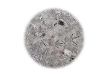 „Hide or seek“ / OÖ Kunstverein Linz