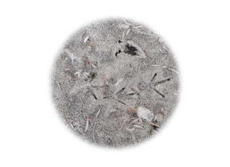 „Hide or seek“ / OÖ Kunstverein Linz