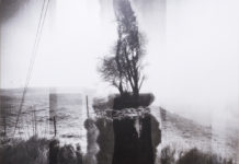 „Schwerpunkt Druckgraphik“ / Kunst im Traklhaus Salzburg