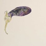 Melanzana, Rom 2018 Aquarell auf Fotoalbumpapier, Edgar Honetschläger