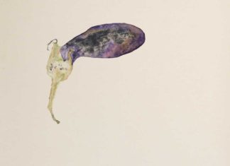 „Edgar Honetschläger: Nature is an Impossibility. Go Bugs Go!“ / Charim Galerie Wien