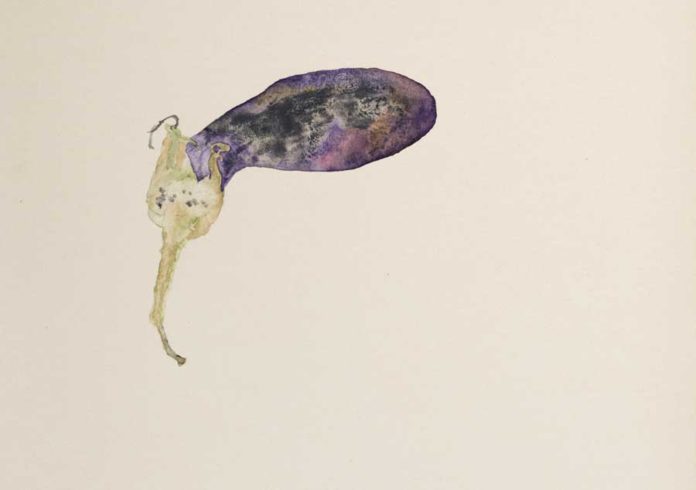Melanzana, Rom 2018 Aquarell auf Fotoalbumpapier, Edgar Honetschläger