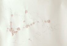 „Spektral – Ein Freiraumprojekt für alle“ / Graz