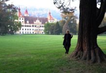 Liviu Bulea, Bildender Künstler / Stipendiat des Styria-Artist-in-Residence Programmes, Graz