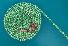 “Sigalit Landau. Salt Years” / Museum der Moderne, Salzburg