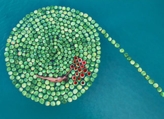 „Sigalit Landau. Salt Years“ / Museum der Moderne, Salzburg