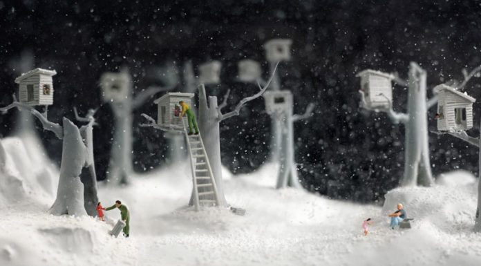 „A Mind of Winter. Walter Martin & Paloma Muñoz“ / Museum der Moderne, Salzburg