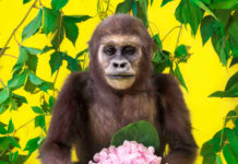 „Ekaterina Sevrouk. Last Paradise“ / Stadtgalerie Lehen, Salzburg