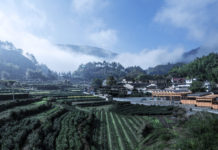 “Critical Care” / Architecture Centre Vienna