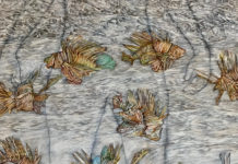 “Birgit Bachmann” / Galerie allerArt, Vorarlberg