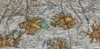 „Birgit Bachmann“ / Galerie allerArt, Vorarlberg
