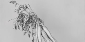 „Rendering Memory“ / Galerie 5020, Salzburg