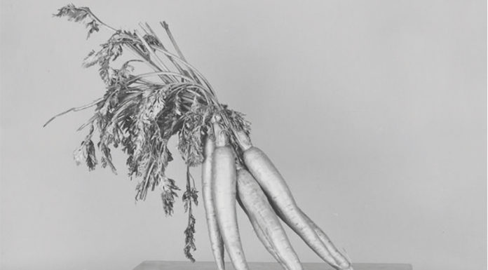 „Rendering Memory“ / Galerie 5020, Salzburg