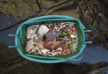 “Gelatin & Liam Gillick. Stinking Dawn ” / Kunsthalle Vienna