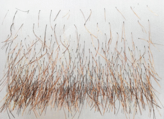 „Was die Hitze uns sagt – What the heat tells us – Što nam toplina govori” / Österreichisches Kulturforum, Zagreb