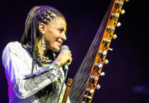 „Afrika Tage Wien 2019“ / Donauinsel, Wien