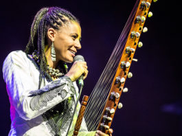 „Afrika Tage Wien 2019“ / Donauinsel, Wien