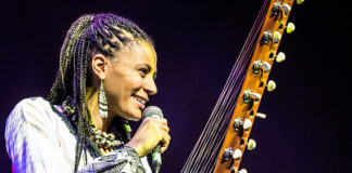 „Afrika Tage Wien 2019“ / Donauinsel, Wien