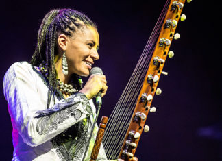 „Afrika Tage Wien 2019“ / Donauinsel, Wien