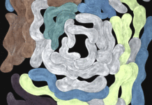 “Elisabeth Plank: SHAPES” / Museumspavillon Mirabellgarten, Salzburg