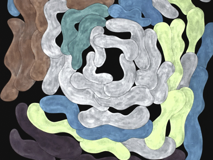 shapes #12, © Elisabeth Plank