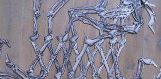„Birgit Pleschberger / Bostjan Drinovec – changing pictures“ / Museumspavillon Mirabellgarten