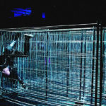 Saskia Hoelbling: Bodies (with)in fences © DANS.KIAS / Saskia Hölbling / Projekt: Artist Philosophers