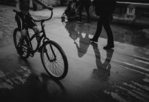 “I don´t take pictures, pictures take me” / Villa Claudia, Vorarlberg