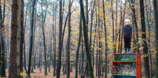 „Preis der Kunsthalle Wien 2019“ / Kunsthalle Wien