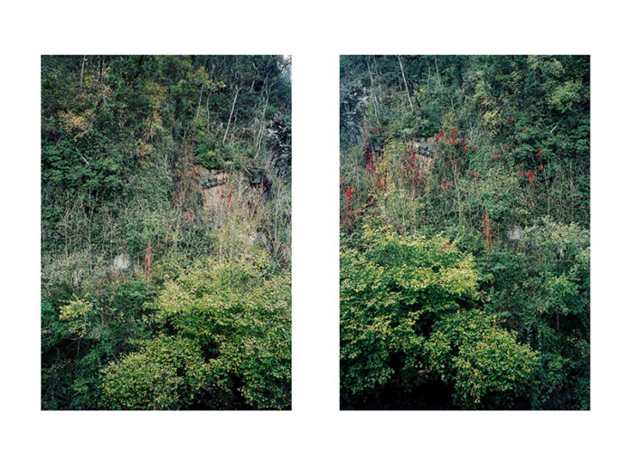 © Barbara Bühler, Forest I + II