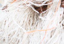 „Elisabeth Bakambamba Tambwe – Carré Noir“ / brut Wien