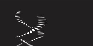 Verleihung Österreichischer Filmpreis 2020