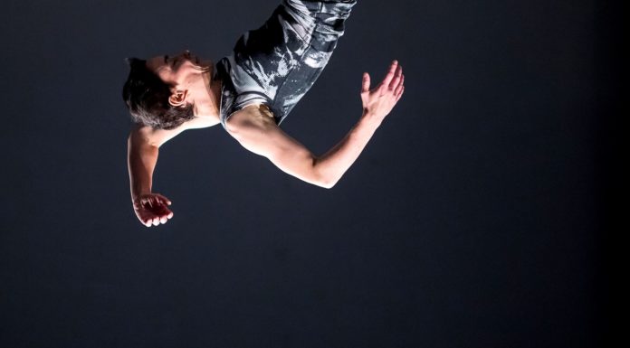 „Salzburger Performance Tage“ / Salzburg 2020