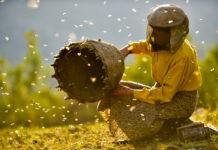 “Human Vision Festival” / Spielboden Dornbirn