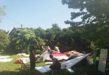 „KuGeMENE – Verein für die Förderung kultureller Vielfalt“ / Leibnitz