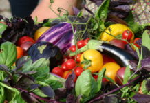 „Kleine Farm – Landwirtschaft mit Rücksicht auf Mensch & Natur“/ Leibnitz