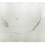 © Beate Winkler, Foto: Heinz Schmölzer