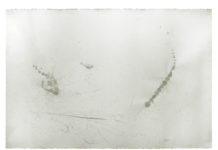 „Panorama – Die Mediathek rund um globale Themen“ / Graz, Steiermarkweit