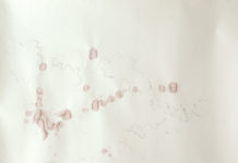 „Vivid – Suchtprävention“ / Steiermark