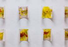 „Ich tu’s – Klimaschutz in Aktion“ / Steiermark