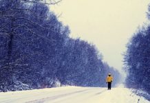 John Akomfrah, Michael E. Smith / Secession Wien