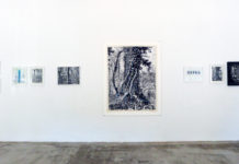 Regina Anzenberger „Shifting Roots“ / Galerie Anzenberger Wien